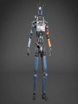 cover image of Dim, Doga Robot